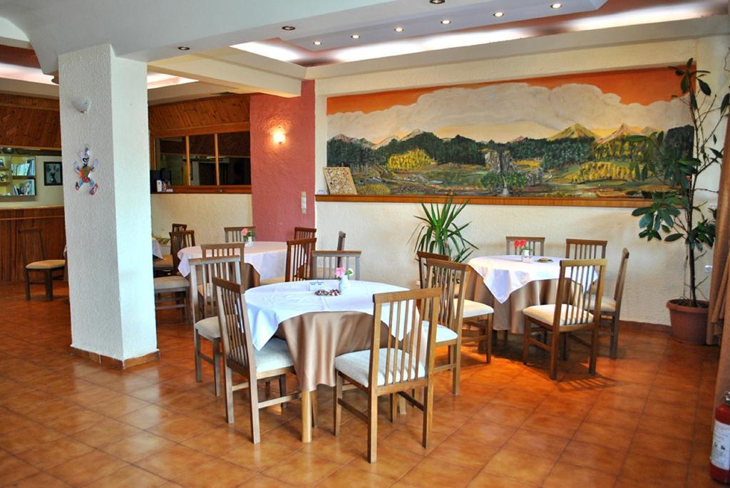 Hotel Aoos โคนิทซา ภายนอก รูปภาพ