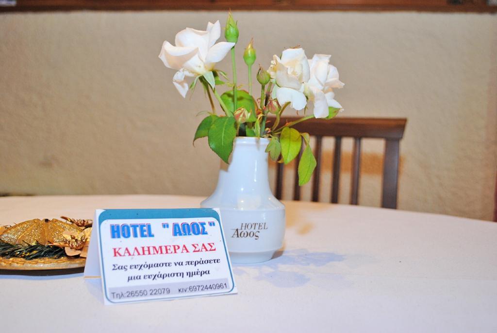Hotel Aoos โคนิทซา ภายนอก รูปภาพ