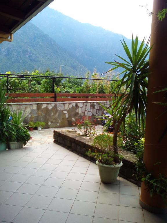 Hotel Aoos โคนิทซา ภายนอก รูปภาพ